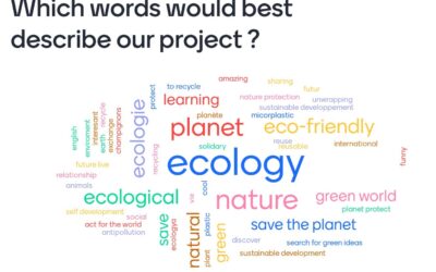 Projet eTwinning Sustainable Development – Collège Pasteur Arbois (25)