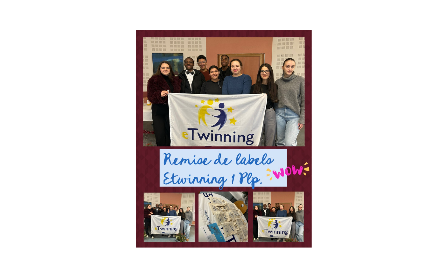 Image article eTwinning Roland Carraz